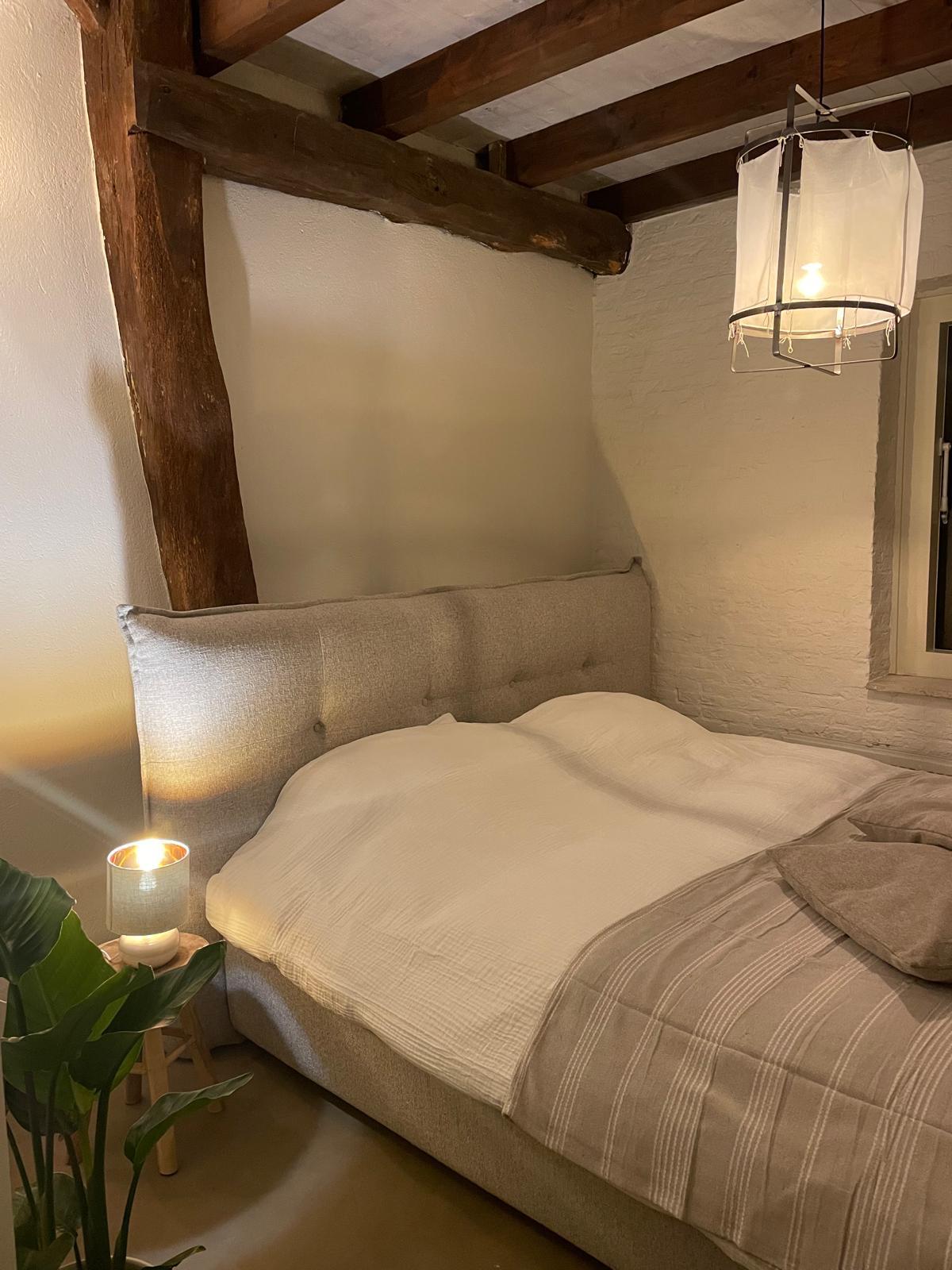 Japandi Lounge living room with fireplace and seating