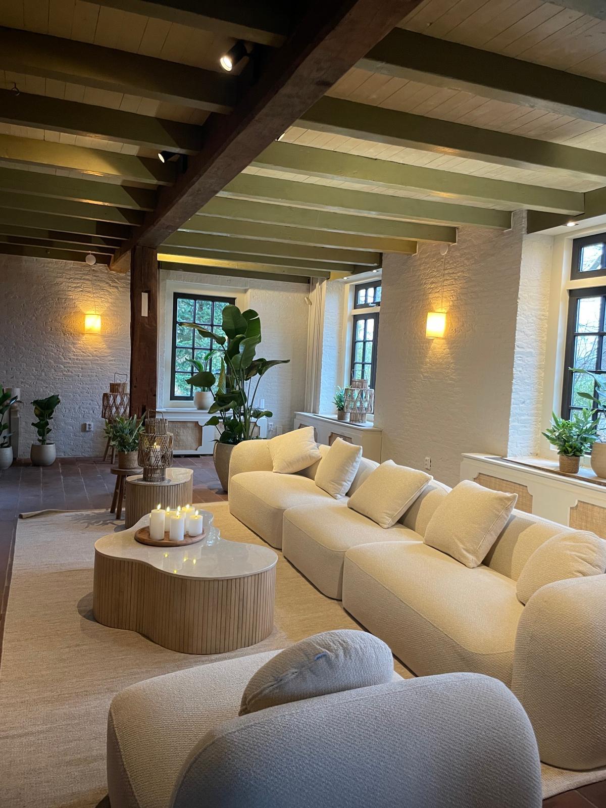 Japandi Lounge living room with fireplace and seating