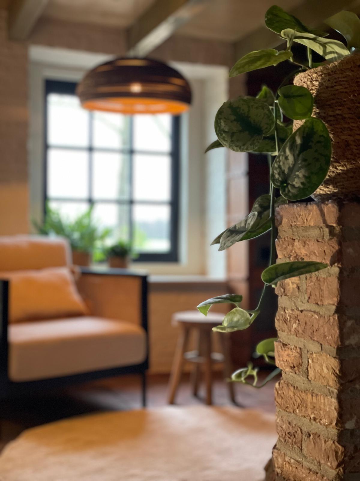 Japandi Lounge exterior – farmhouse at dusk 10 minutes from Den Bosch