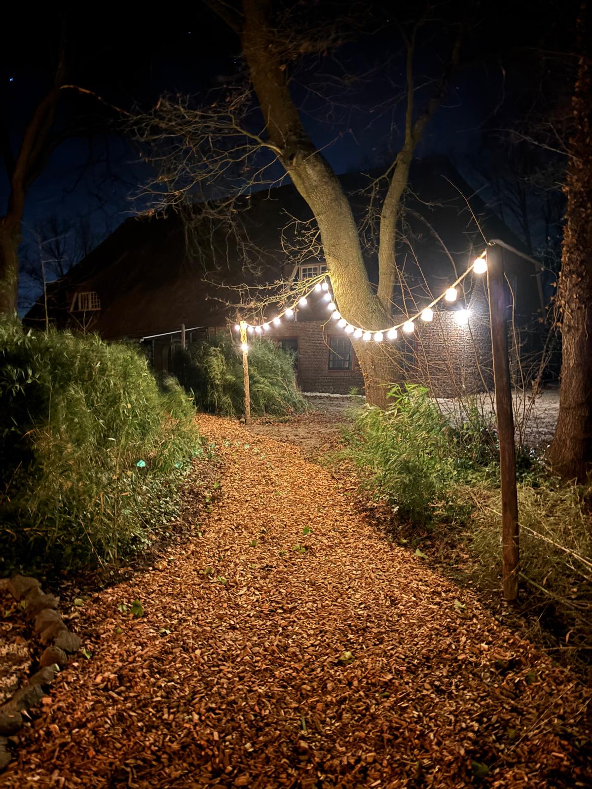 Japandi Lounge long dining table for groups