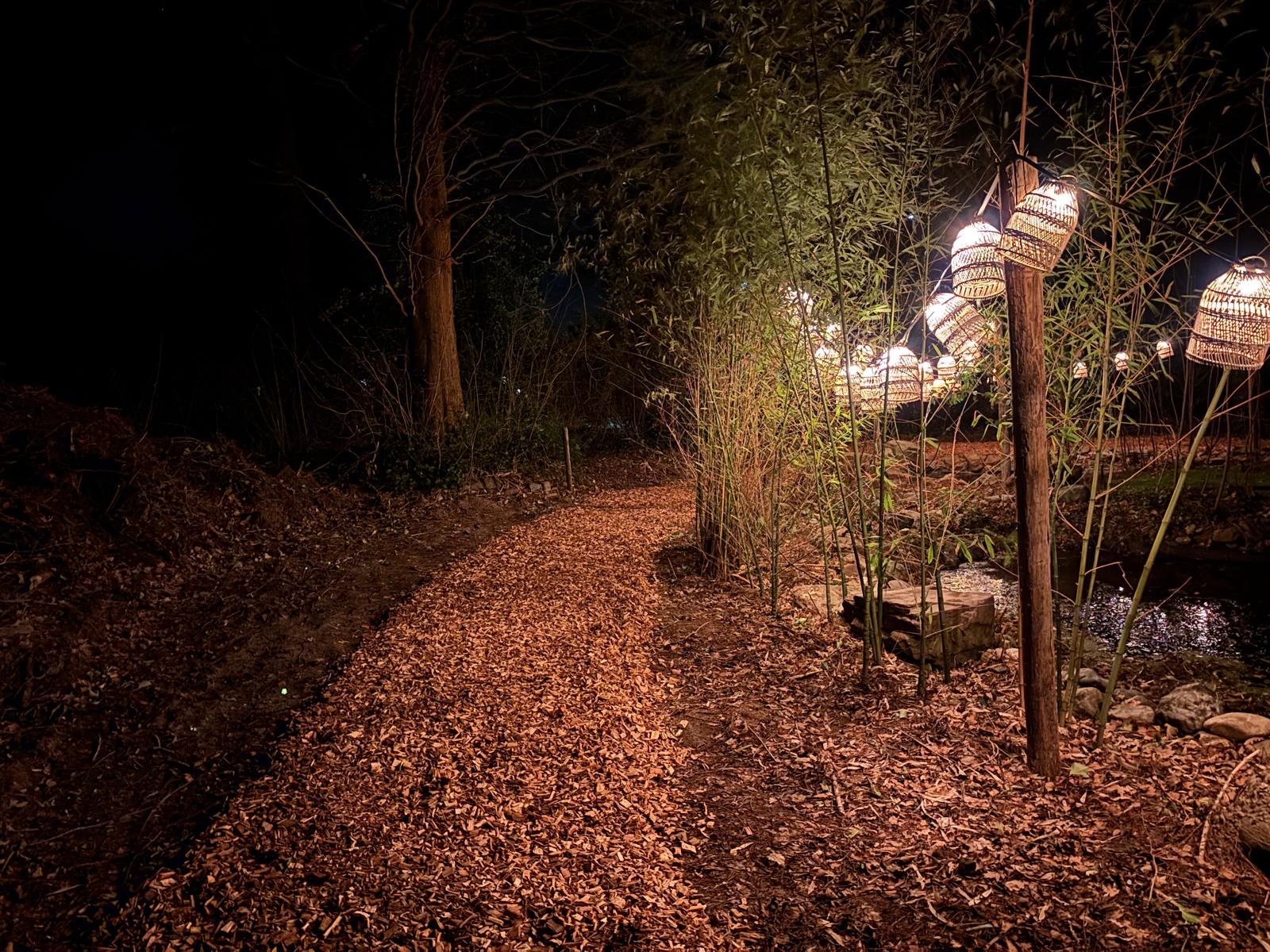 Japandi Lounge long dining table for groups